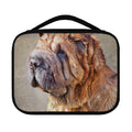 Vintage Shar Pei Print Classic Bible Case