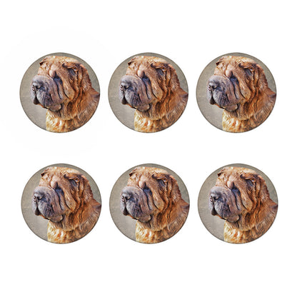 Vintage Shar Pei Print Coaster Set