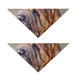 Vintage Shar Pei Print Dog Bandana