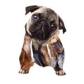 Vintage Shar Pei Print Dog Zip Up Hoodie