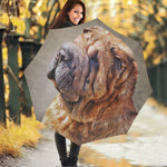 Vintage Shar Pei Print Foldable Umbrella