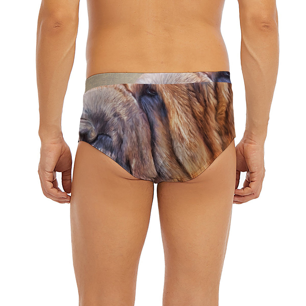 Vintage Shar Pei Print Men's Briefs