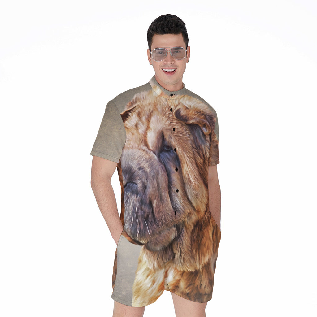 Vintage Shar Pei Print Men's Rompers