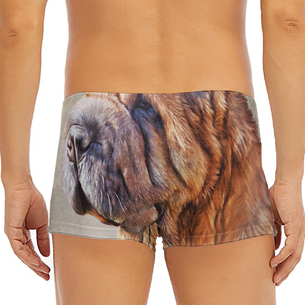 Vintage Shar Pei Print Men's Short Boxer Briefs