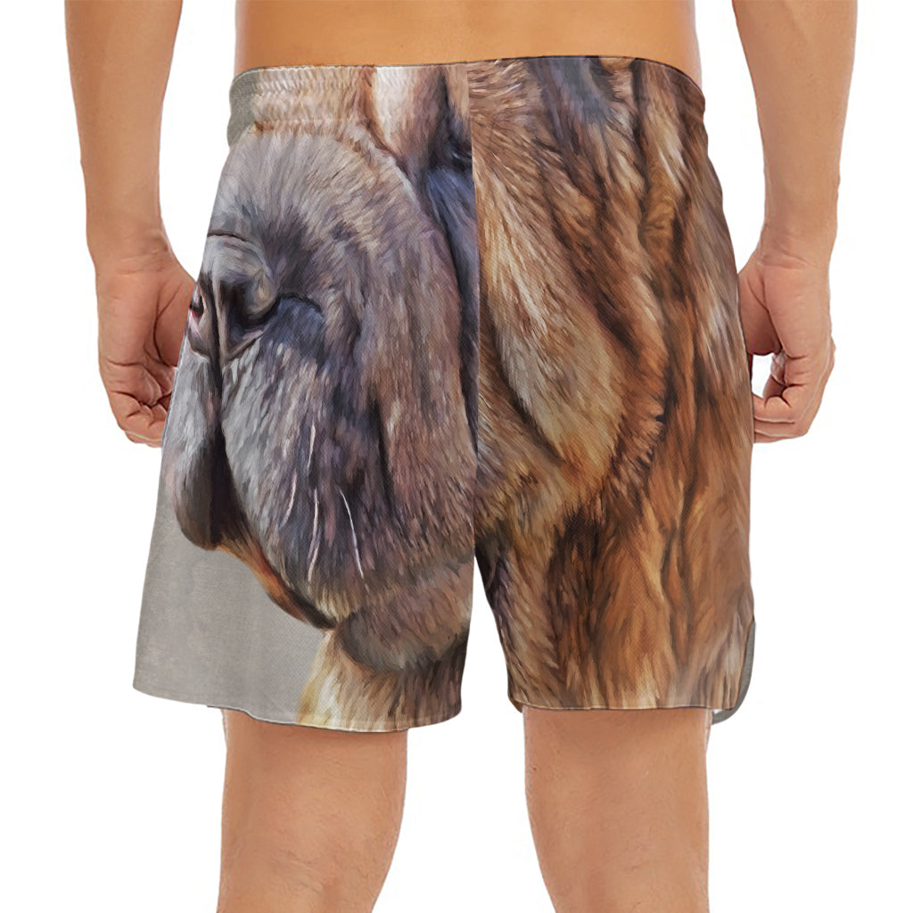 Vintage Shar Pei Print Men's Split Running Shorts