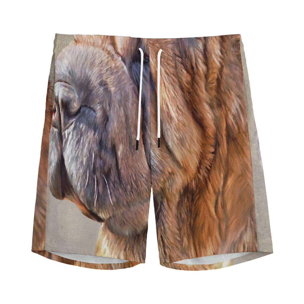Vintage Shar Pei Print Men's Sports Shorts