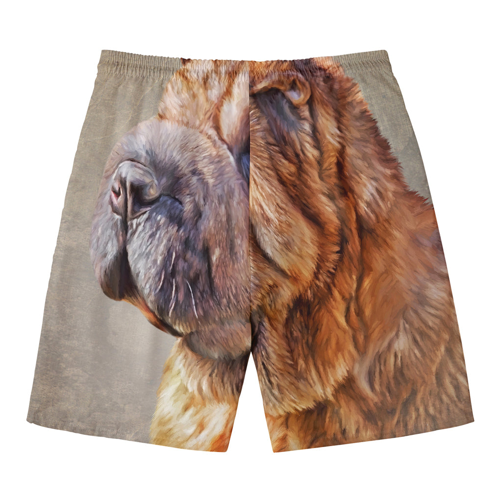 Vintage Shar Pei Print Men's Swim Trunks