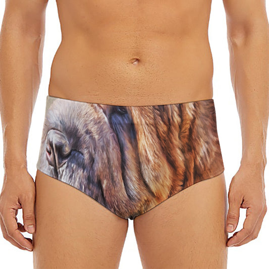 Vintage Shar Pei Print Men's Triangle Swim Briefs