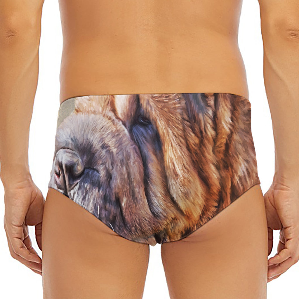 Vintage Shar Pei Print Men's Triangle Swim Briefs