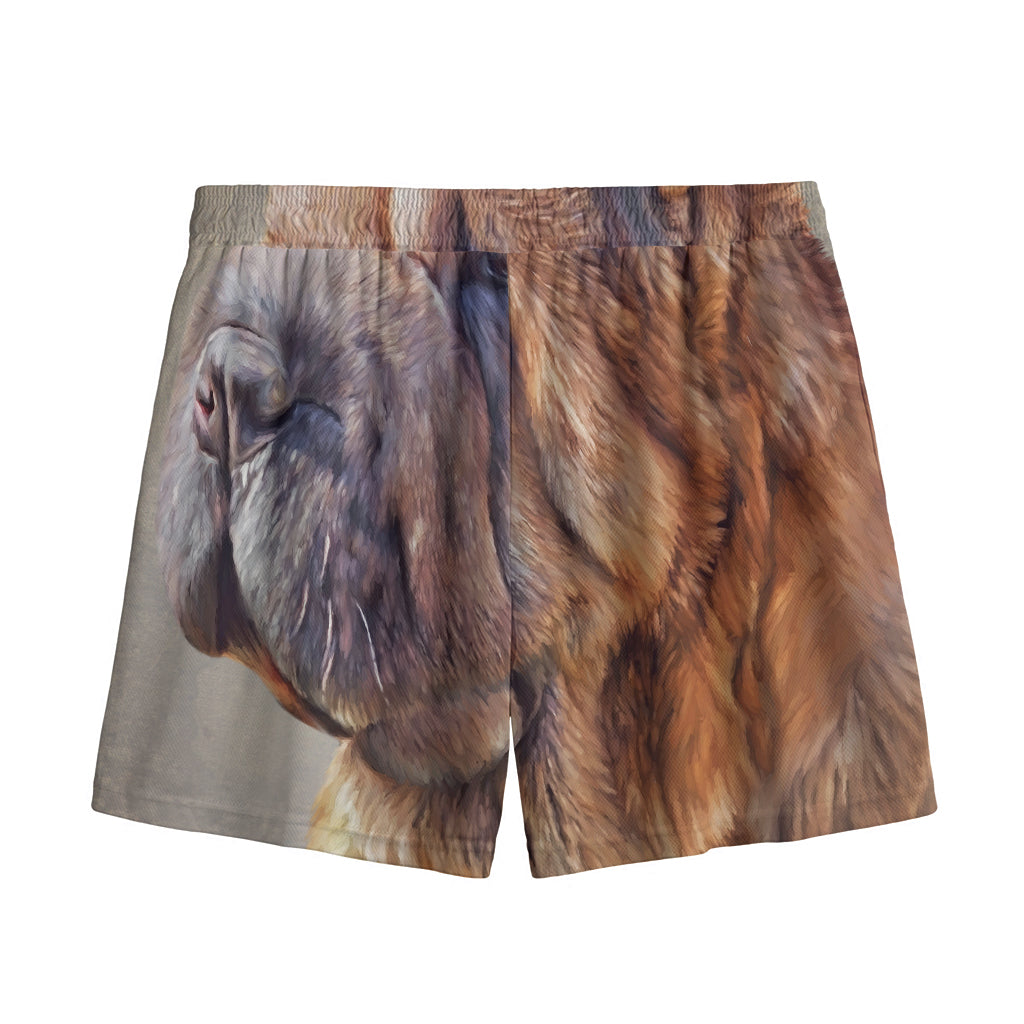Vintage Shar Pei Print Mesh Shorts