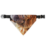 Vintage Shar Pei Print Over The Collar Dog Bandana