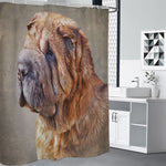 Vintage Shar Pei Print Premium Shower Curtain