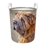 Vintage Shar Pei Print Round Laundry Basket