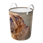 Vintage Shar Pei Print Round Laundry Basket