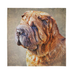 Vintage Shar Pei Print Silk Bandana