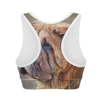 Vintage Shar Pei Print Women's Sports Bra