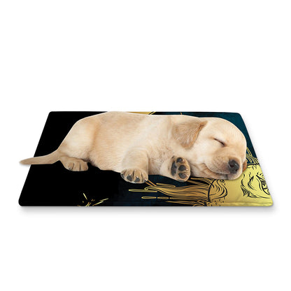 Vintage Sun And Moon Print Pet Cooling Mat Cover