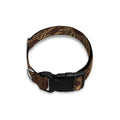 Vintage Sun Pattern Print Dog Collar