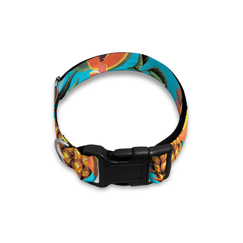 Vintage Tropical Fruits Pattern Print Dog Collar