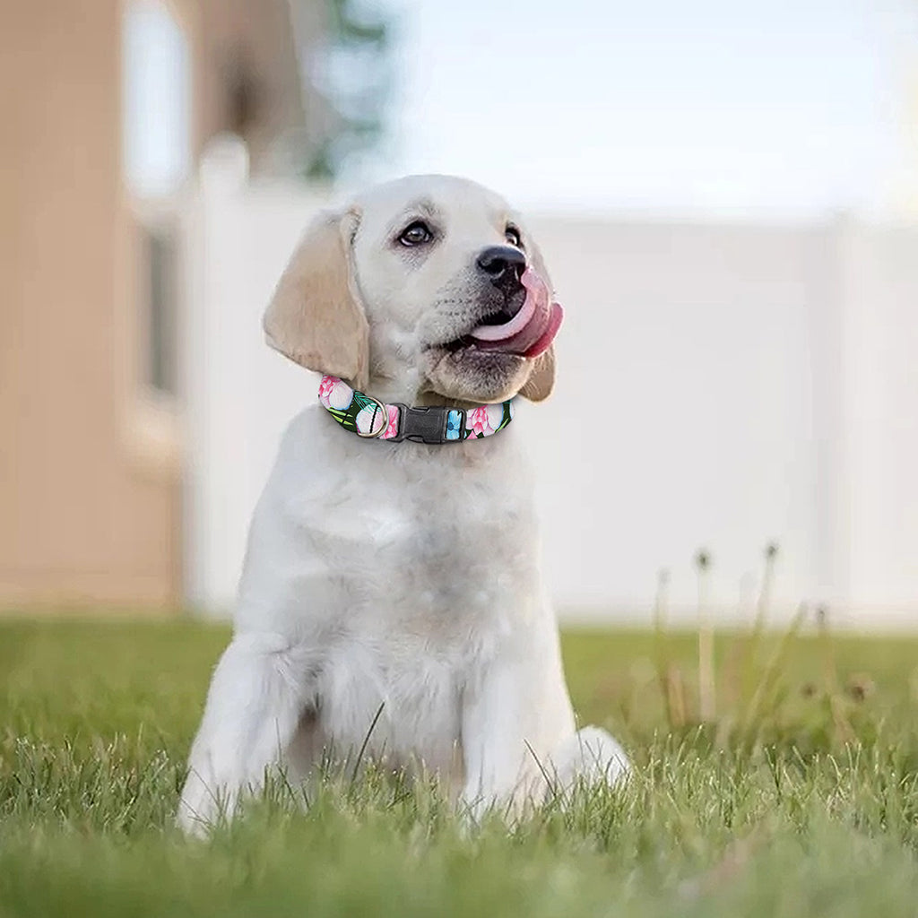 Vintage Tropical Jungle Hawaiian Print Dog Collar