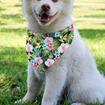 Vintage Tropical Jungle Hawaiian Print Over The Collar Dog Bandana