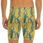 Vintage Watercolor Peacock Print Men's Long Boxer Briefs