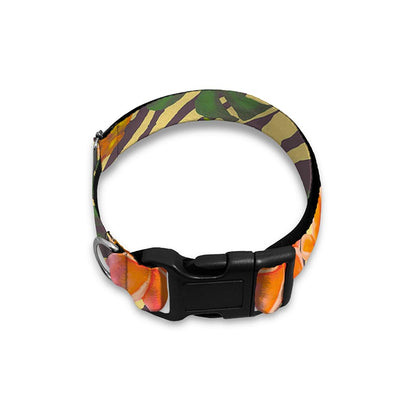 Vintage Zebra Pineapple Pattern Print Dog Collar