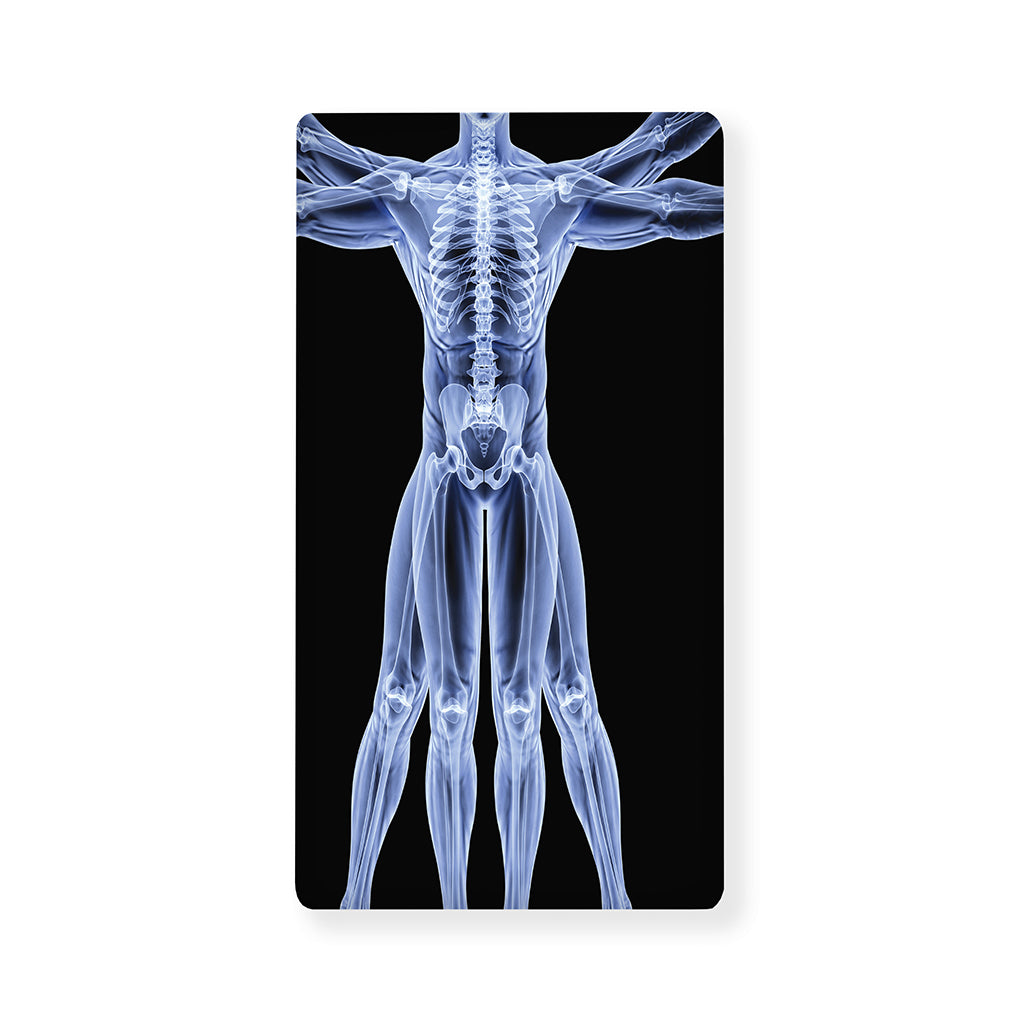 Vitruvian Man X-Ray Print Baby Crib Sheet