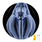 Vitruvian Man X-Ray Print Basketball