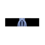 Vitruvian Man X-Ray Print Bed Runner