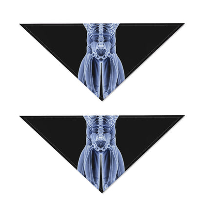 Vitruvian Man X-Ray Print Dog Bandana