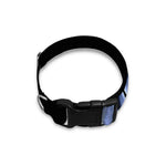 Vitruvian Man X-Ray Print Dog Collar