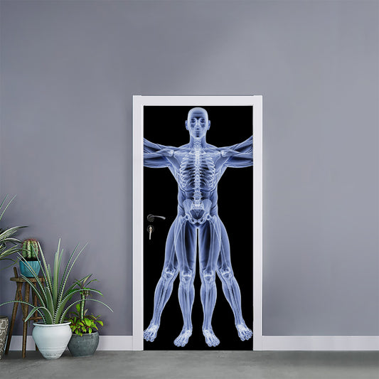 Vitruvian Man X-Ray Print Door Sticker