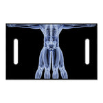 Vitruvian Man X-Ray Print Golf Cart Seat Cover