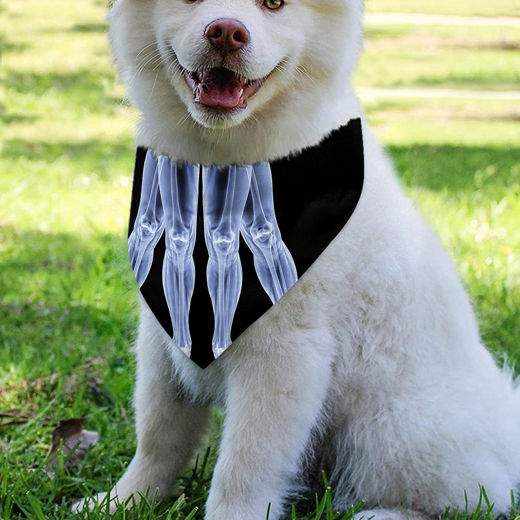 Vitruvian Man X-Ray Print Over The Collar Dog Bandana