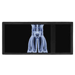 Vitruvian Man X-Ray Print Trifold Wallet