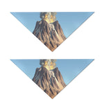 Volcanic Mountain Print Dog Bandana