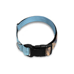 Volcanic Mountain Print Dog Collar