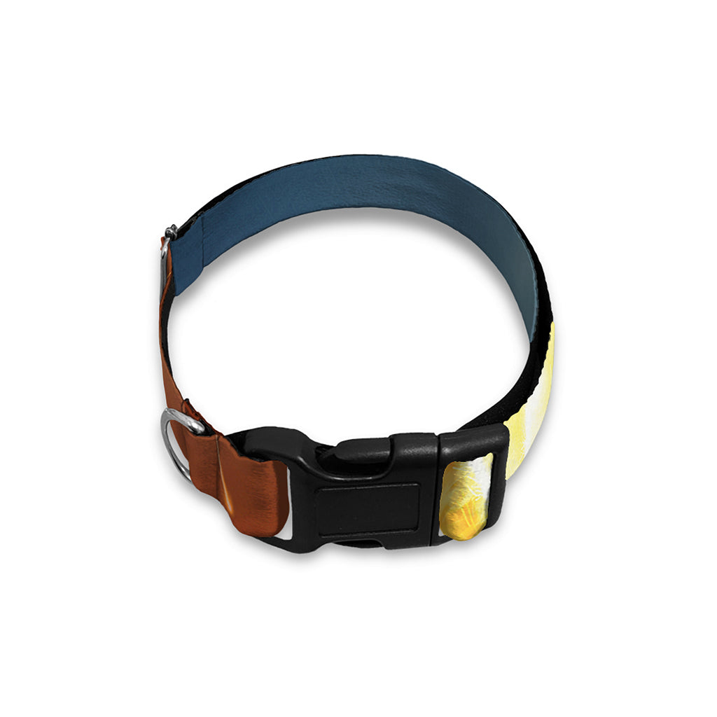 Volcano Eruption Print Dog Collar