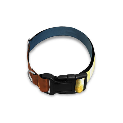 Volcano Eruption Print Dog Collar