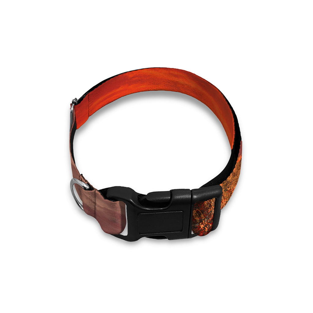 Volcano On The Sea Print Dog Collar