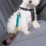 Voodoo Doll Print Dog Seat Belt