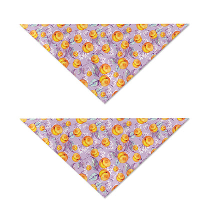 Watercolor Apricot Fruit Pattern Print Dog Bandana