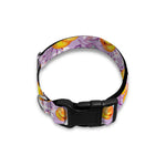 Watercolor Apricot Fruit Pattern Print Dog Collar