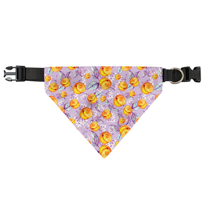 Watercolor Apricot Fruit Pattern Print Over The Collar Dog Bandana