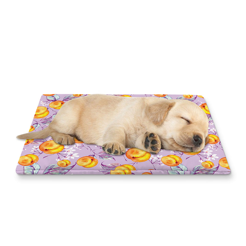 Watercolor Apricot Fruit Pattern Print Pet Cooling Mat Cover