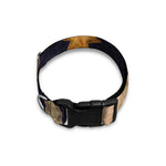 Watercolor Aries Zodiac Sign Print Dog Collar