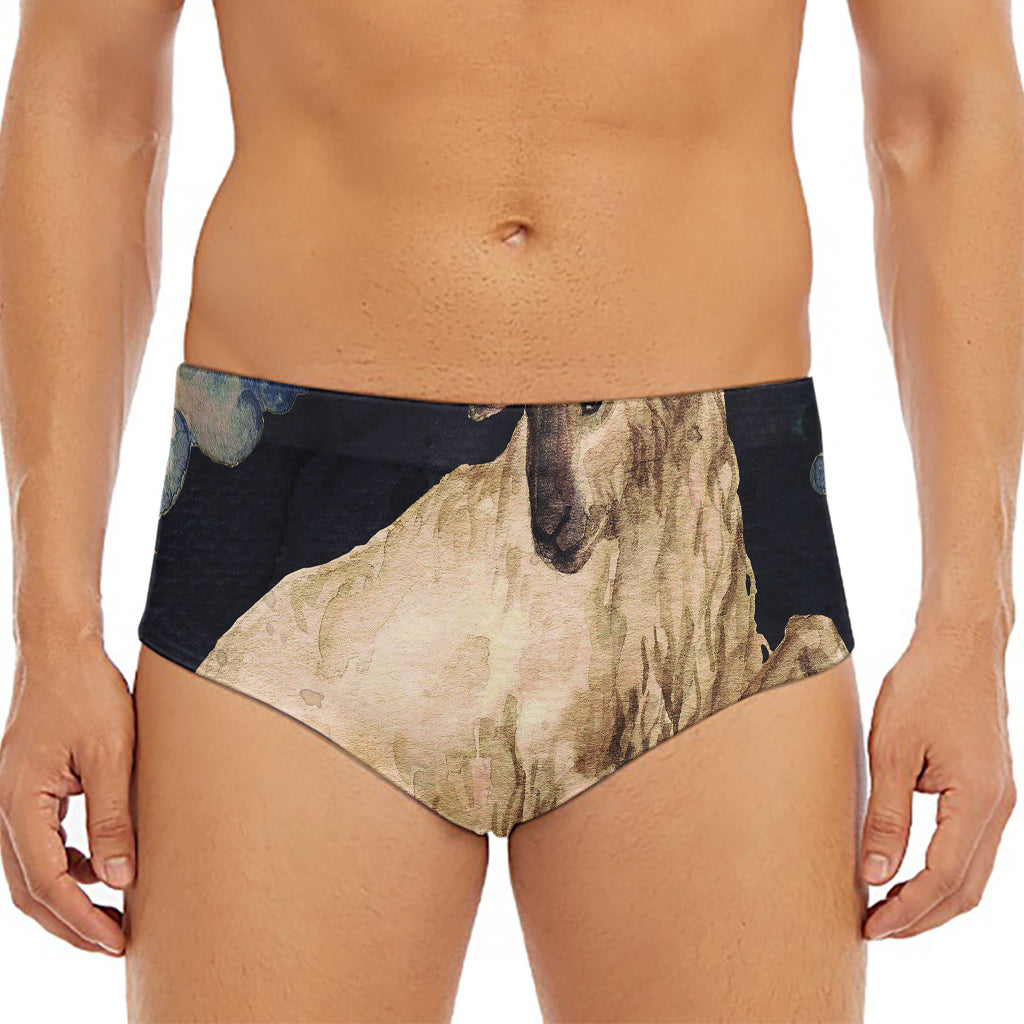 Watercolor Aries Zodiac Sign Print Men's Triangle Swim Briefs