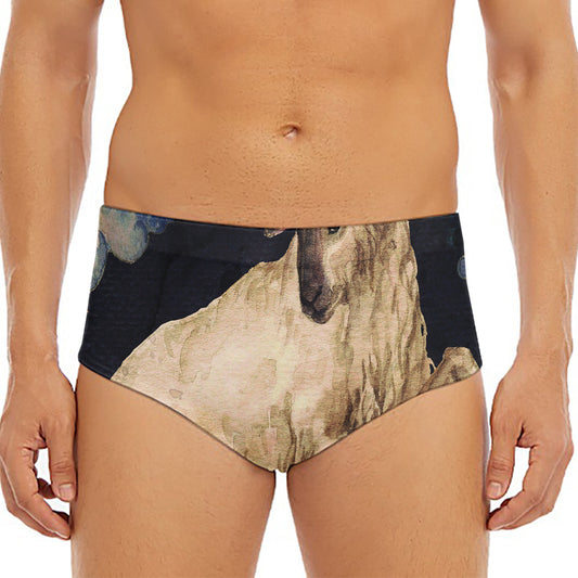 Watercolor Aries Zodiac Sign Print Men's Triangle Swim Briefs