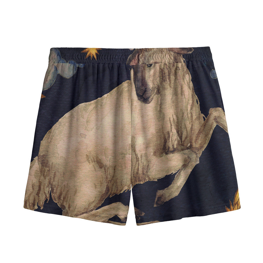 Watercolor Aries Zodiac Sign Print Mesh Shorts